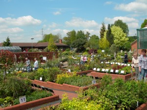 Beautifully maintained Plant Sales Area 