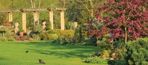 John’s Garden ‘virtual visit’ for National Garden Scheme