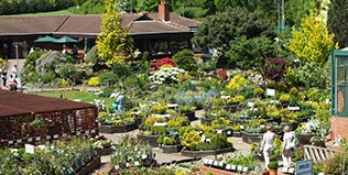 Ashwood Nurseries & Garden Range Facilities