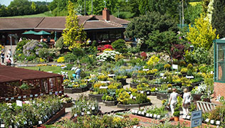 Ashwood Nurseries & Garden Range Facilities