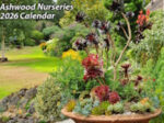 Calendars and Stationery