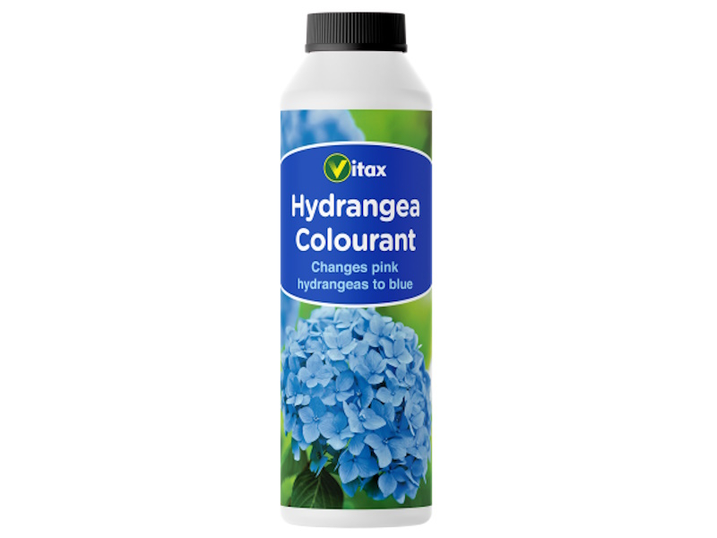 Hydrangea Colourant 500g-0