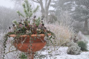 Winter Pot