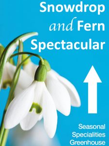 Don't miss our Snowdrop and Fern Spectacular