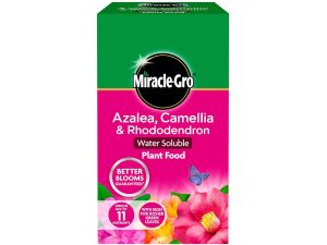 Miracle grow azalea camellia rhodo