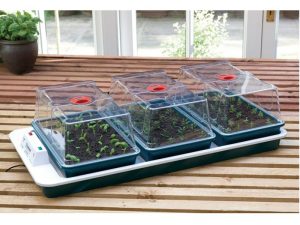 Garland Big 3 Automatic Temperature Control Electric Propagator 50W-0