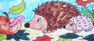 Go Wild Colouring Competition Results