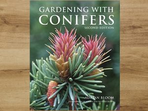 Gardening with Conifers-0