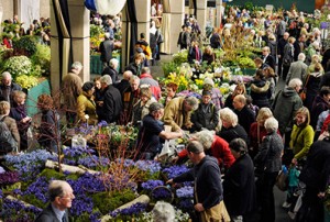 Image courtesy of RHS / Tim Sandall