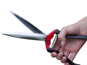 Jakoti Hand Shears-0