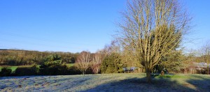 New for 2015: The Wildlife Meadow at Ashwood