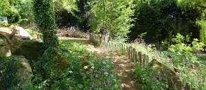 The Wildlife Meadow at Ashwood opens to visitors