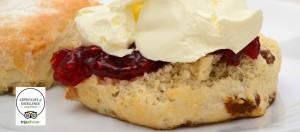 TripAdvisor Award for The Tea Room at Ashwood