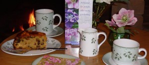 Our Tea Room scoops another award
