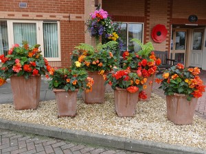 Best group of containers: Ms. L. Evans for Brunel Court