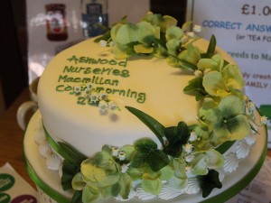 Guess the Weight of the Cake Competition