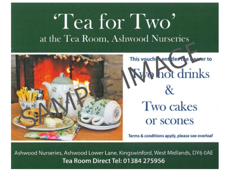 Tea for Two Gift Voucher-23477