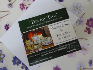 Tea for Two Gift Voucher-0