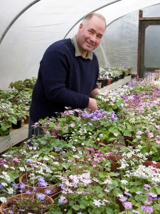 John Massey with some of his hepatica collection © J.Buckley