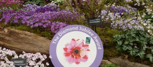 A Gold Medal & Best Exhibit award at Chelsea