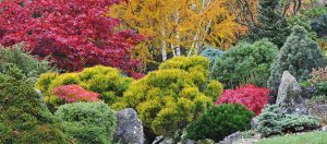 Daily Mail features John’s Garden at Ashwood