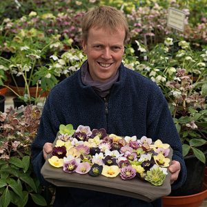 Kevin Belcher, Ashwood hellebore breeder