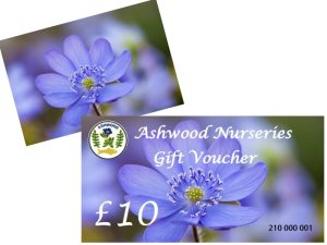 Ashwood Nurseries Gift Voucher £10-0