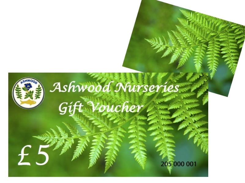 Ashwood Nurseries Gift Voucher £5 -0