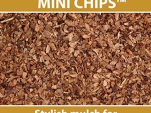 Melcourt Pine Mini Chips-0