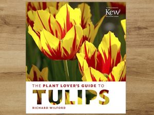 The Plant Lover's Guide To Tulips by Richard Wilford-0