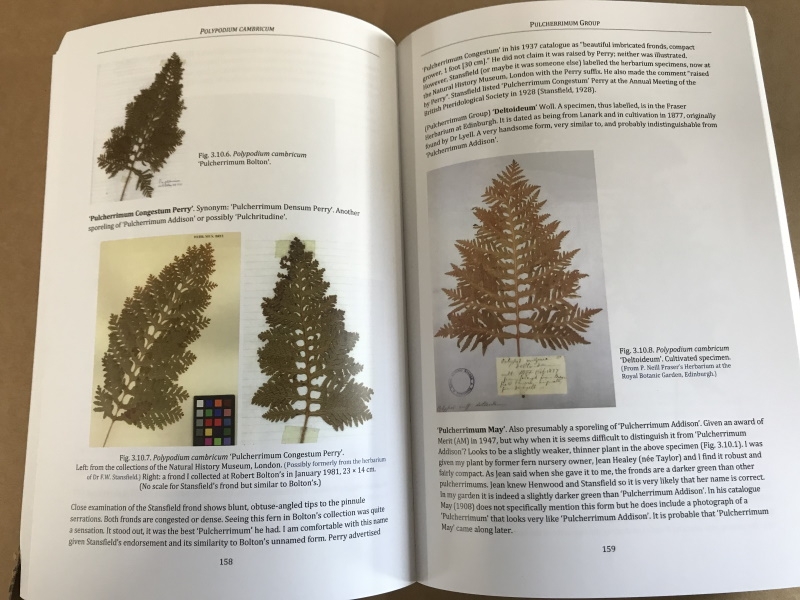 Polypodium Cultivars and Species by Martin Rickard. Second Edition. SIGNED BY THE AUTHOR.-19206