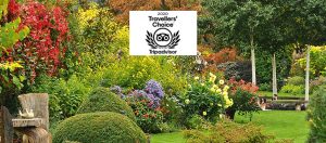 Tripadvisor Travellers’ Choice Award