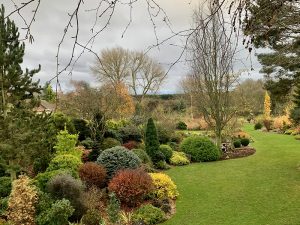 Winter Walk in John’s Garden with Robert Vernon