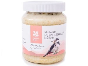 National Trust Mealworm Peanut Butter for Birds