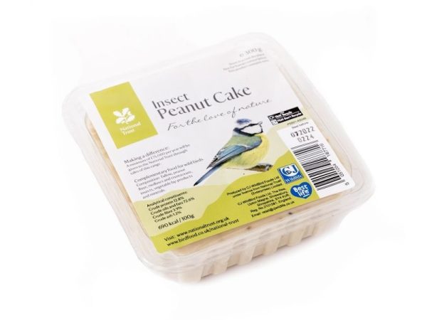 National Trust Insect Peanut Cake Square-0