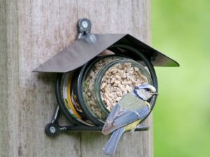 Peanut Butter Feeder-0