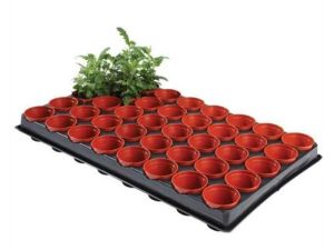 Professional SEED & CUTTING TRAY - Worth Gardening by Garland-0