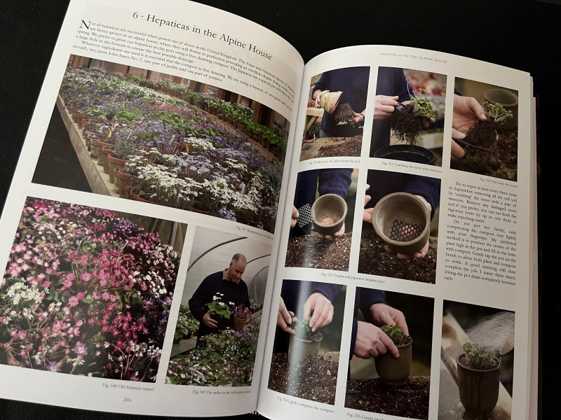 My World of Hepaticas by John Massey with Tomoo Mabuchi (inc. UK P&P)-22097