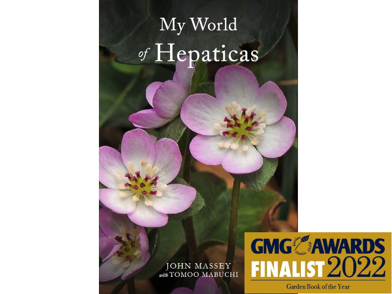 My World of Hepaticas by John Massey with Tomoo Mabuchi (inc. UK P&P)-0