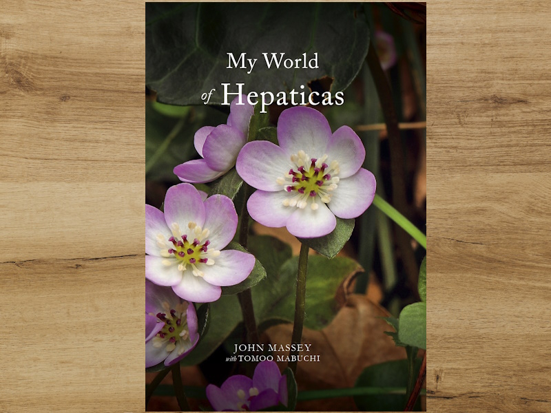 My World of Hepaticas by John Massey with Tomoo Mabuchi (inc. UK P&P)-0