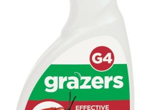 Grazers Lily Beetles G4-0