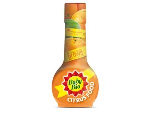Citrus Food-0