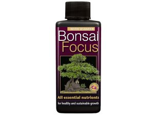 Bonsai Focus - with Seaweed-0
