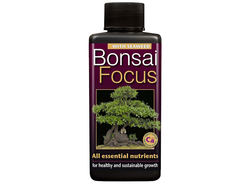 Bonsai Focus - with Seaweed-0