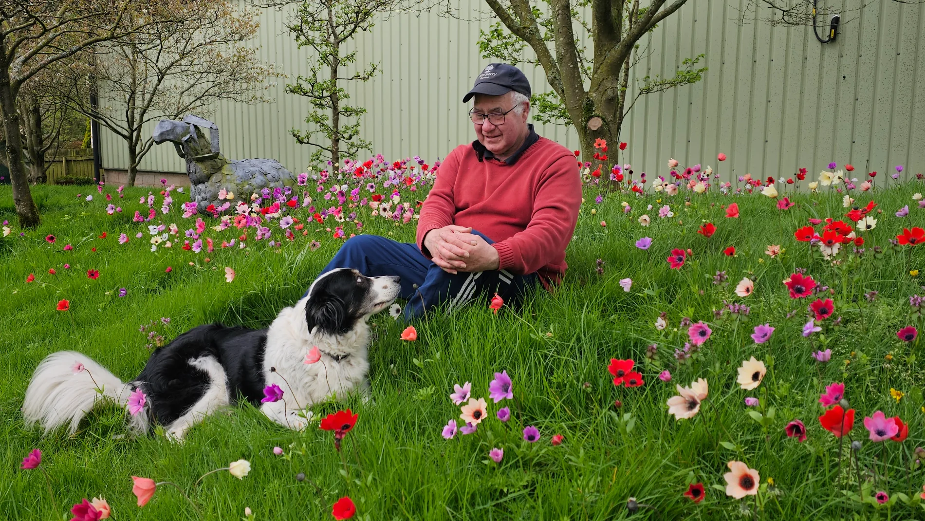John with Anemone Pavonina