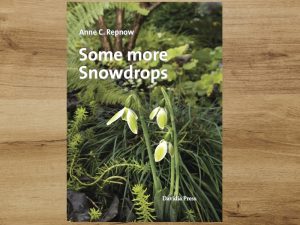 Some More Snowdrops - Another Photographic Ramble by Anne C. Repnow-0