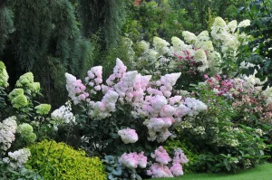 John's Garden during Autumn