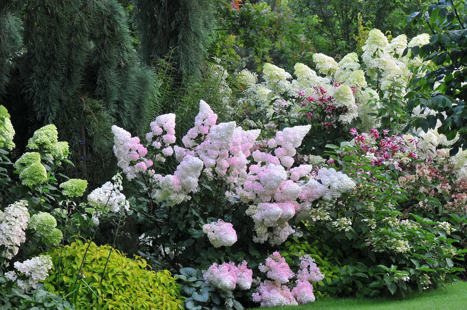 John's Garden during Autumn
