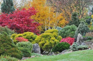 John's Garden during Autumn