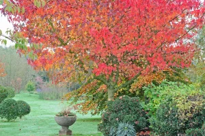 John's Garden during Autumn